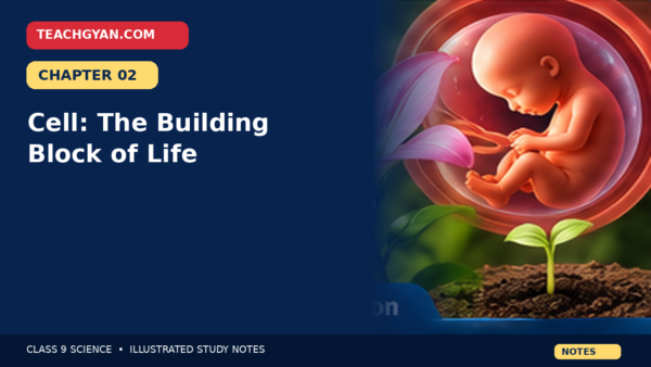 Class 9 Science Notes – Cell: The Basic Unit of Life