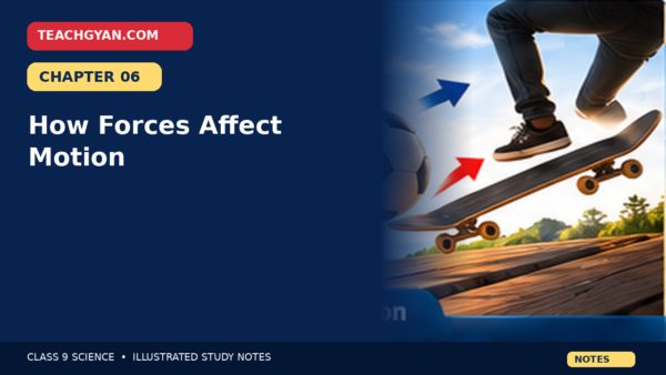 Class 9 Science Notes – How Forces Affect Motion