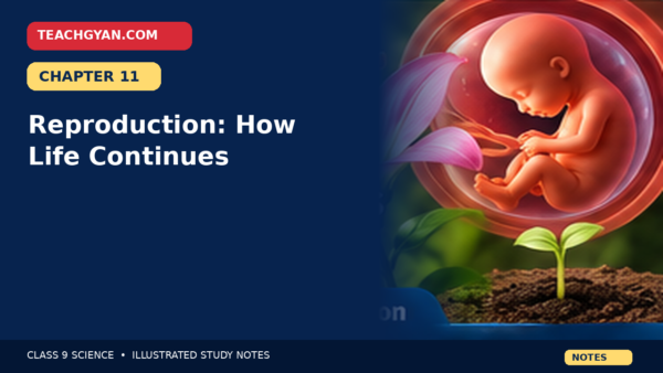 Class 9 Science Notes – Reproduction